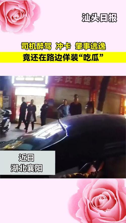 醉驾司机吃瓜视频,一场意外引发的全民热议